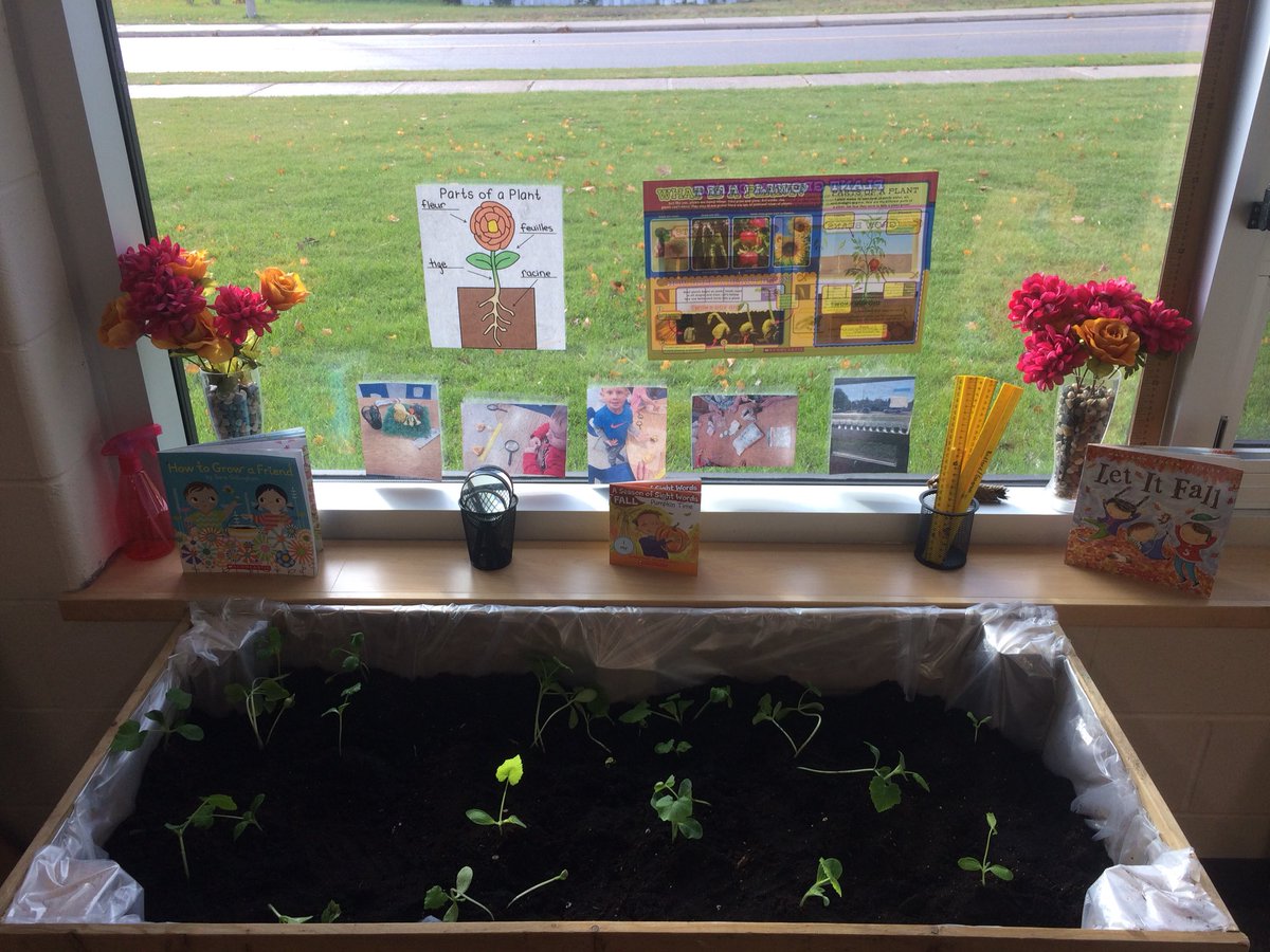 Radford_Kinders's tweet photo. Our seed inquiry continues with this beautiful new planter box! Will these plants become gourds?! #confedcourage https://t.co/ozpAZymBhr