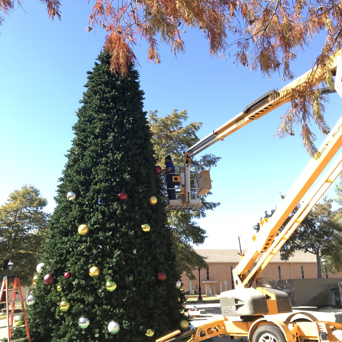 GrandPrairieMag's tweet photo. One of our favorite things about the holidays: the festive colors and decorations. The tree at City Hall is starting to take shape. https://t.co/icoCsCpAIF