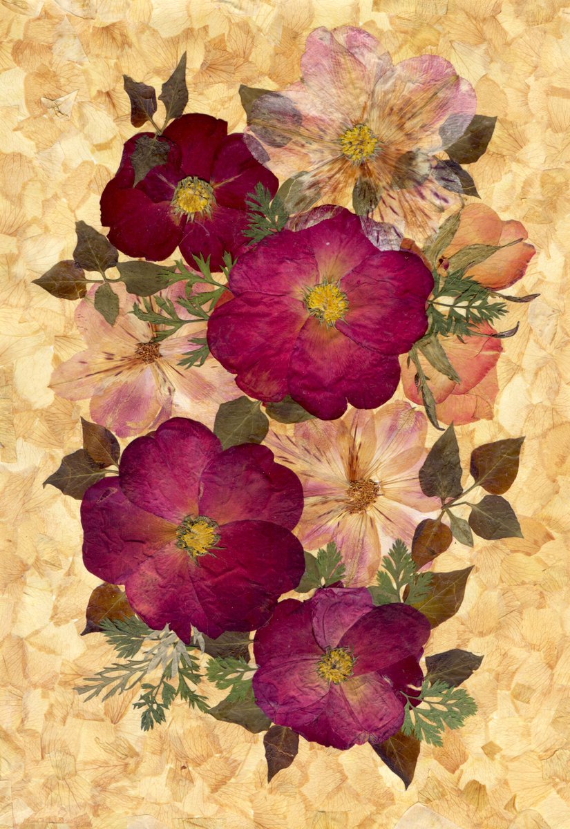 Glirencai's tweet photo. Pressed Flower Art. I use flowers from my garden https://t.co/RfgMYYKG2C
#homedecor  #pressedflowers  #driedflowers  #wallarts https://t.co/rOC24Cuw8A