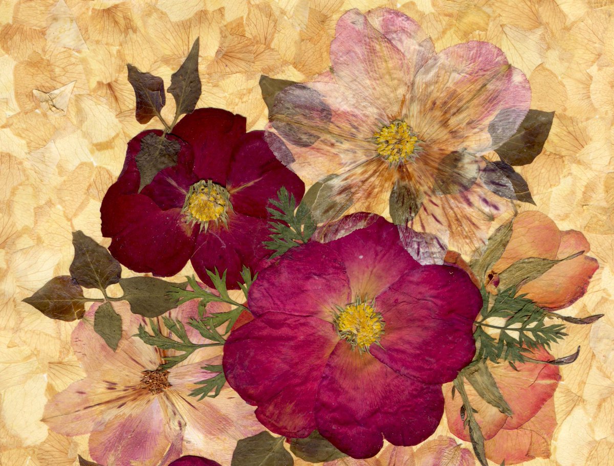 Glirencai's tweet photo. Pressed Flower Art. I use flowers from my garden https://t.co/RfgMYYKG2C
#homedecor  #pressedflowers  #driedflowers  #wallarts https://t.co/rOC24Cuw8A