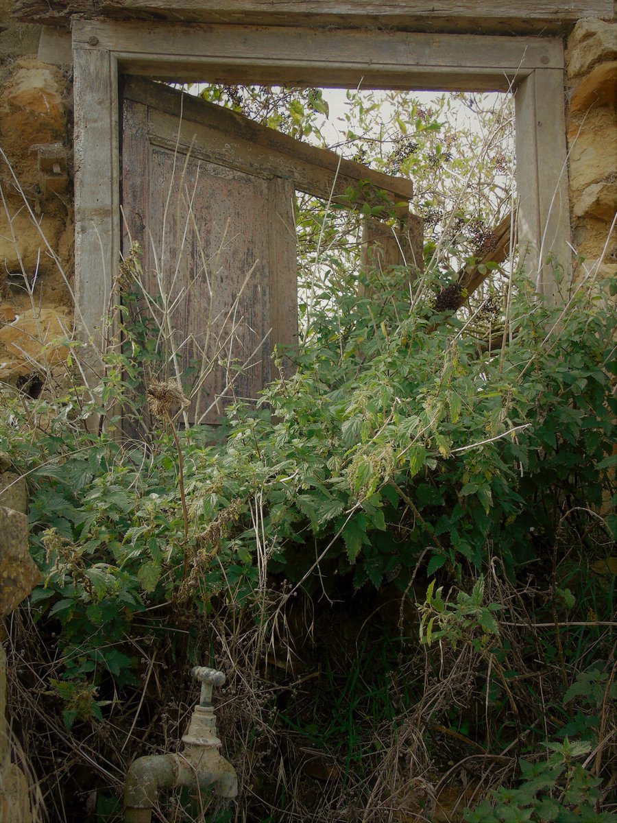 KayleighDClarke's tweet photo. I found this old abandoned 18th century farmhouse in the middle of nowhere. Pretty cool! #abandoned #abandonedbuildings #18thcentury #ruins #overgrown #spooky https://t.co/OksoUVCH86