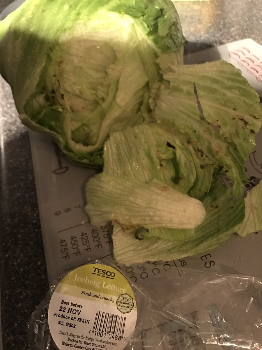 firmyblueboy's tweet photo. Great quality produce bought from @Tesco the weekend #rottenlettuce #bugs π #puttheMrsoffhertea #putherofftesco https://t.co/AjhHVDCtYa