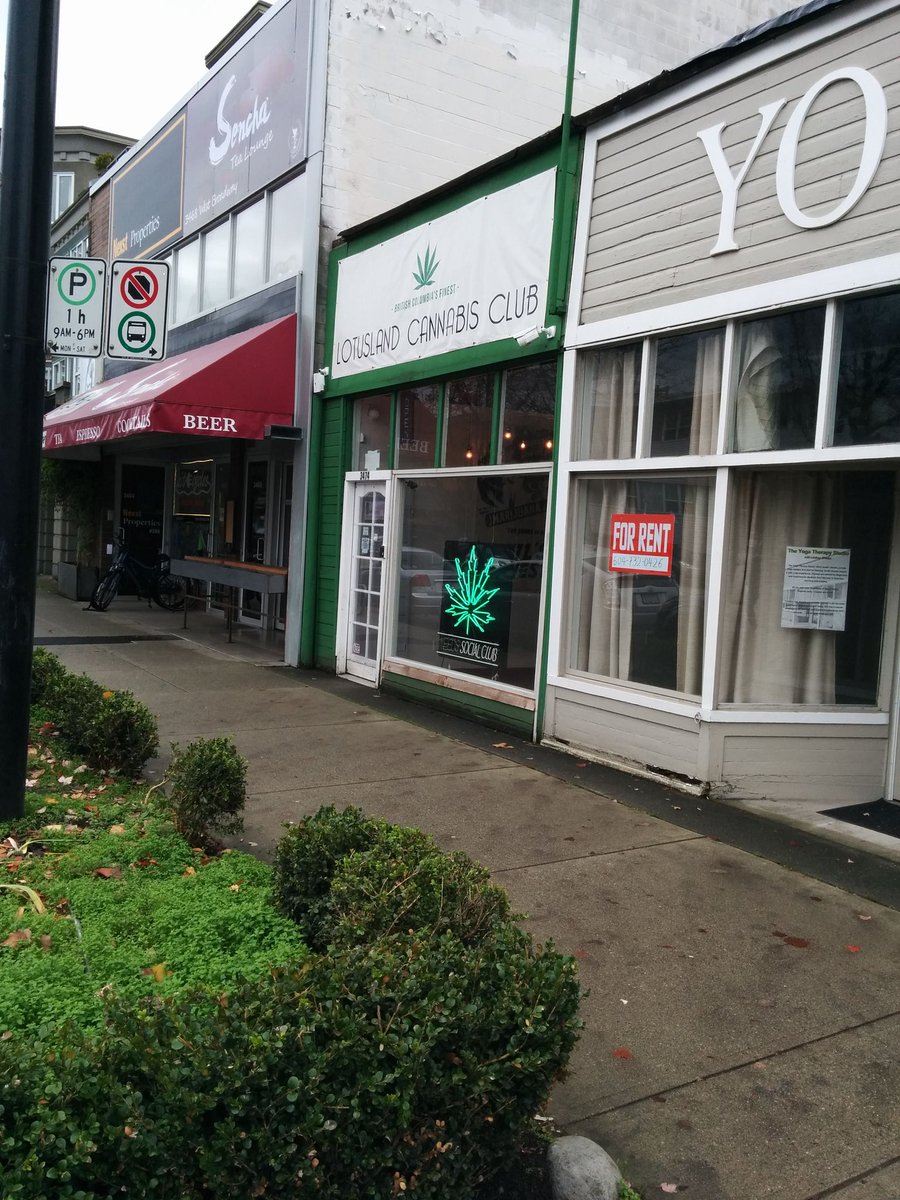 opoderosochatao's tweet image. Eita lugar q tá enchendo de clubes de maconha #maconha #marijuana #vancouver