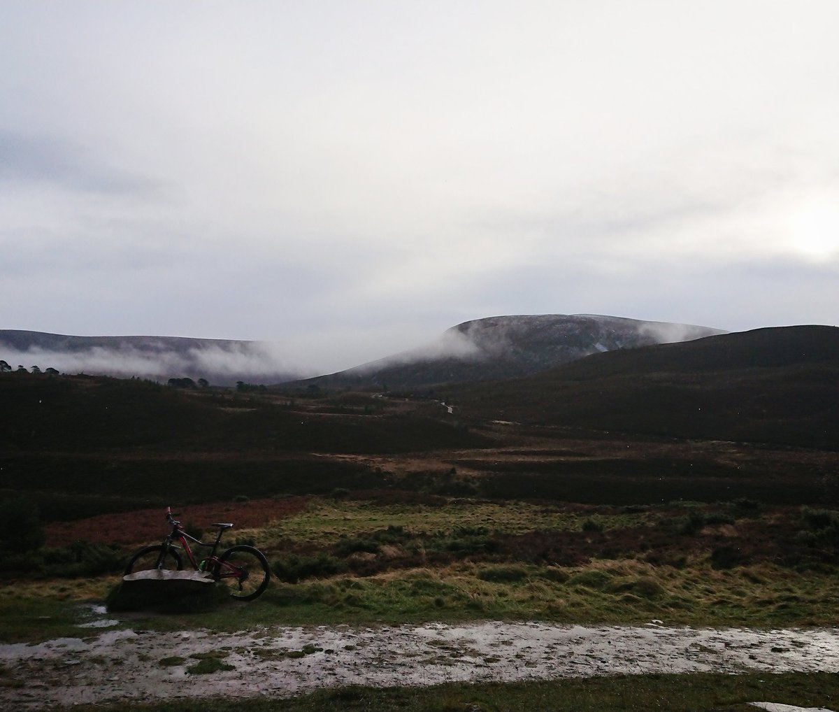 wee_emy's tweet photo. Great day back guiding and teaching nav in cairngorms. #mtnbike #bike #ride #twowheeledadventure @VisitCairngrms @cairngormsnews @PursuitActive https://t.co/gxXE9n03nE