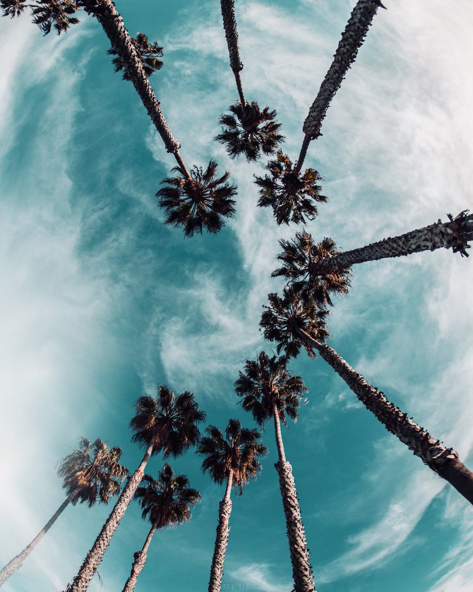 I got knocked out, came to, and all my friends were looking over me 🌴