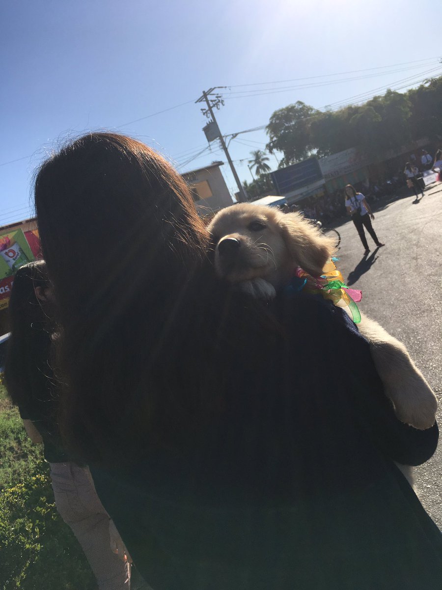 _gemmacinco's tweet photo. Mi coco me llena el corazón💗 https://t.co/NxJzA8IelQ