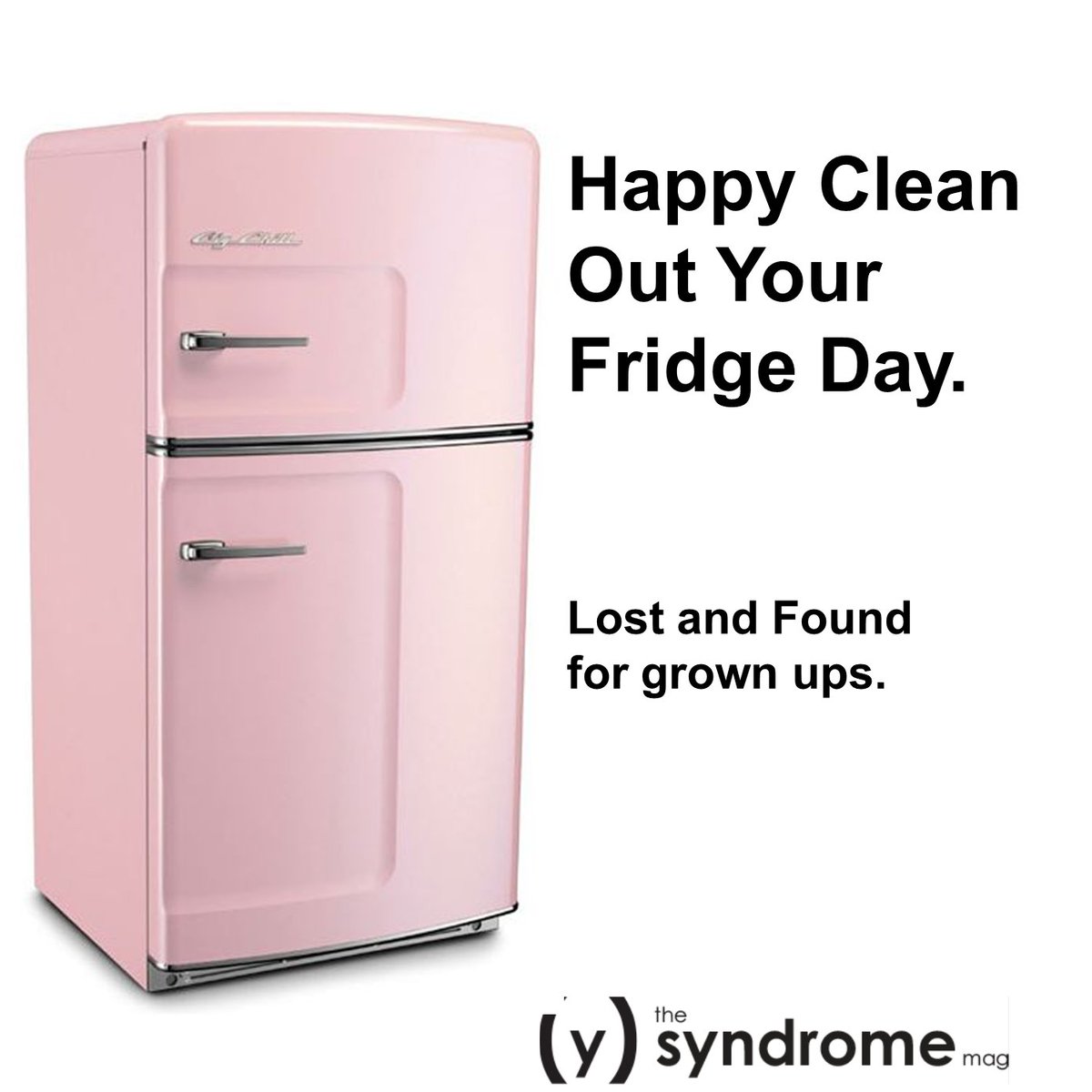 thesyndromemag's tweet photo. #TheSyndromeMag #Syndromena #SatireforWomen #CleanYourFridge https://t.co/hDyCQcdIeC