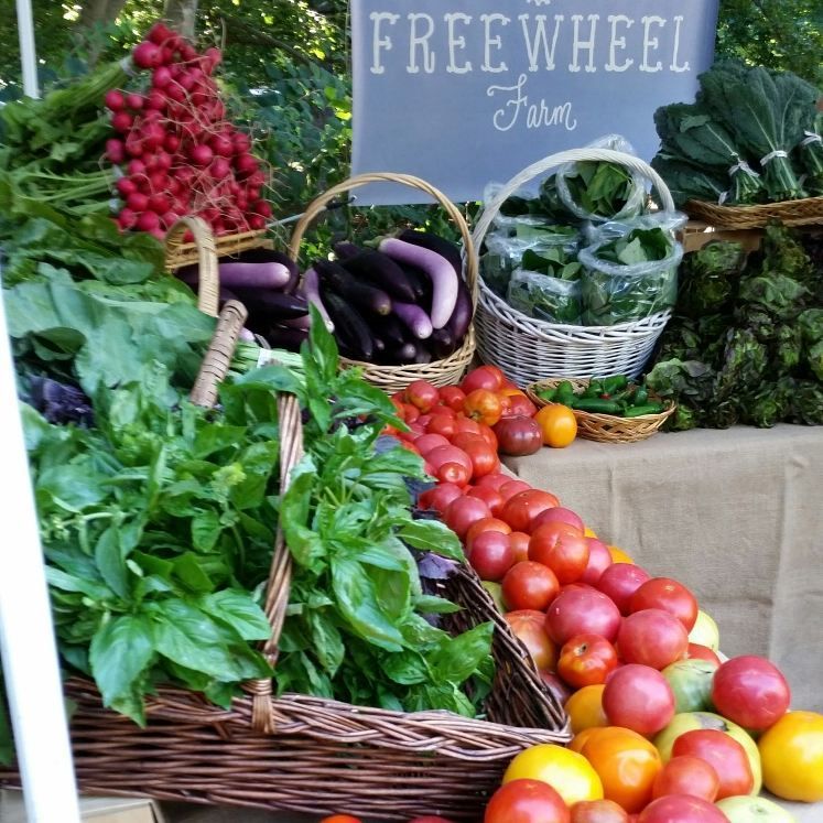 thefoodwell's tweet photo. Freewheel Farm is encouraging natural, organic &amp; ecological growing practices, such as crop rotation that preserves biological diversity and #soil health. Check out the Baseline Report to learn about the  #environmental stewards in #Atlanta! #LocalFoodATL https://t.co/WYmim4fnwM https://t.co/OJp5rGyAQi