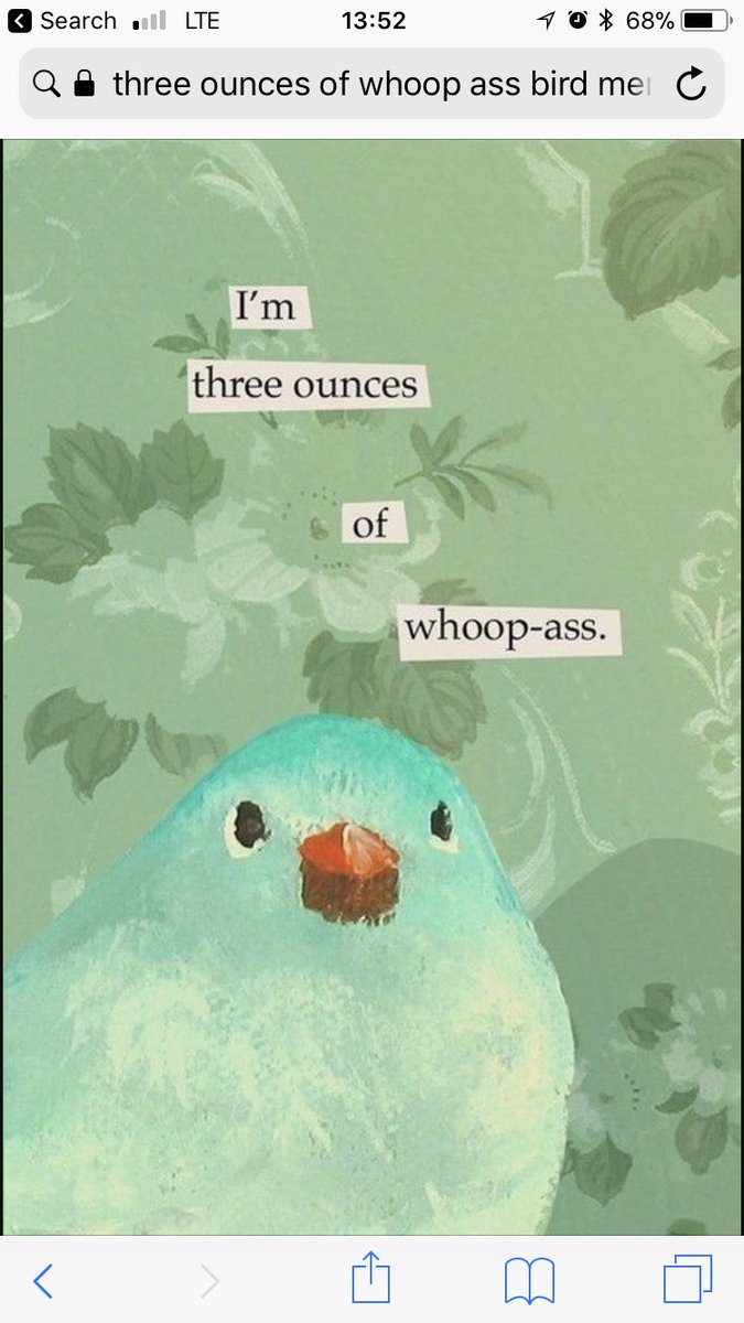 cramerrc61's tweet photo. Maybe @BarackObama will enjoy my bird memes https://t.co/rs9BYEMXRz
