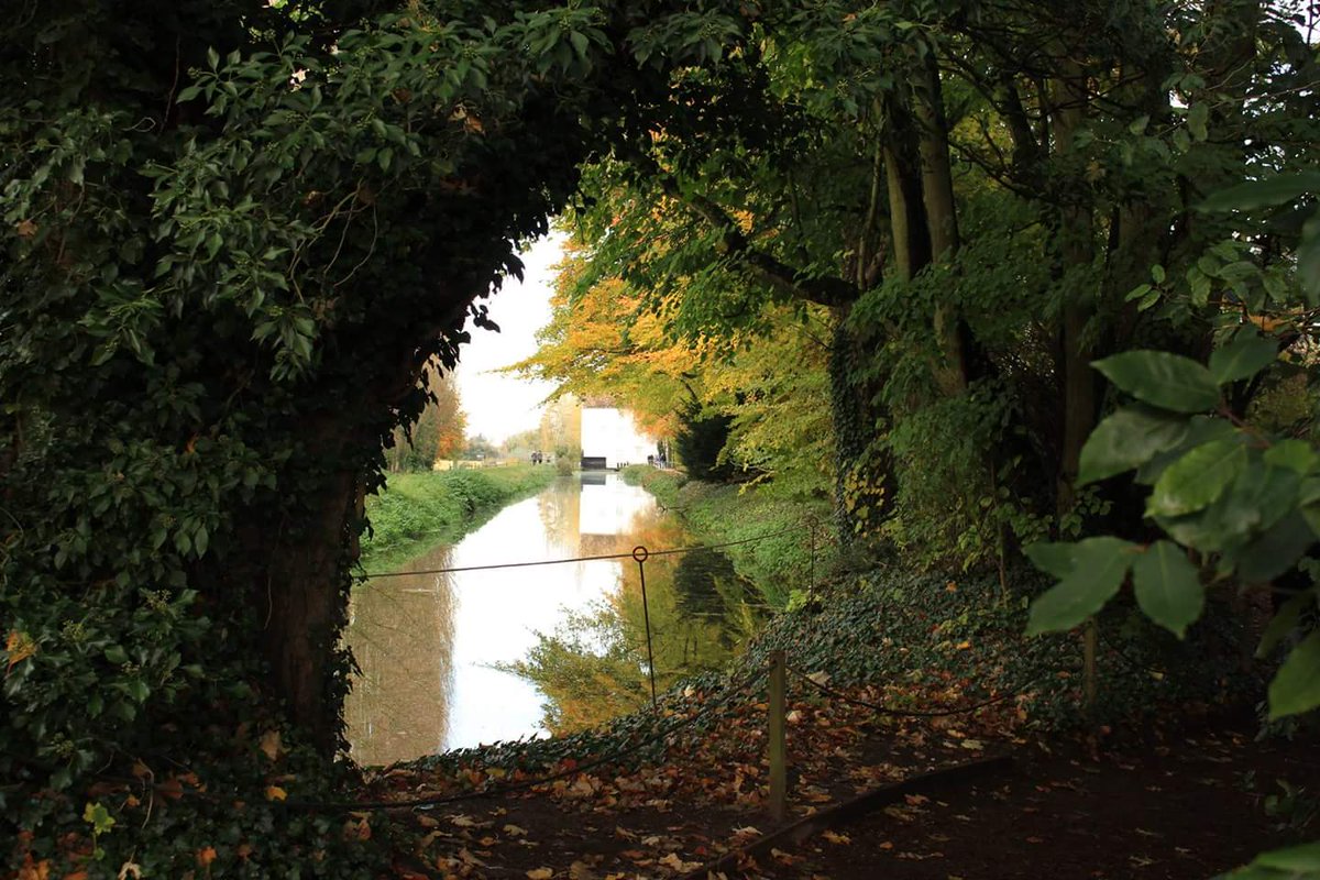 JagexDagget's tweet photo. Autumn walk a recently at Anglesey Abbey. Wonderful colours. https://t.co/hC0XFxUXkY