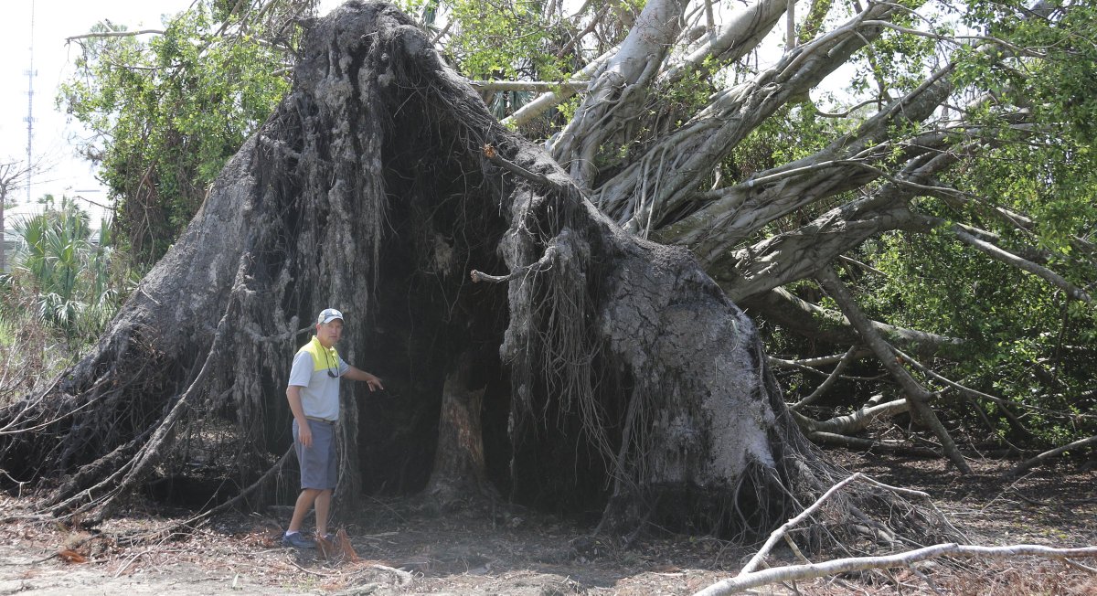 We are happy to announce that after a summer of renovation and recovery from Hurricane Irma, the golf course opened on Wednesday <a href="/EagleCreekGCC/">Eagle Creek</a> <a href="/NDN_GHardwig/">Greg Hardwig</a> <a href="/NBCNews/">NBC News</a> <a href="/h/">َ</a>