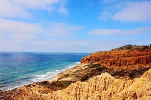 fungigsd's tweet photo. Take a Guided Meditation Hike at Torrey Pines
https://t.co/Q54YPO9PkA https://t.co/Hu7HmgPOlc