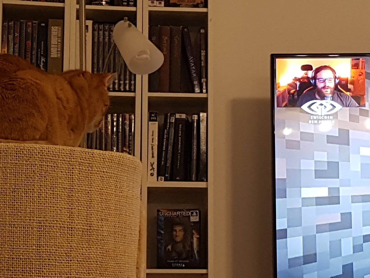 DamiaPandora's tweet photo. Selbst mein Kater schaut ganz fasziniert zu xD @Gronkh https://t.co/CvLwH7Gxz5