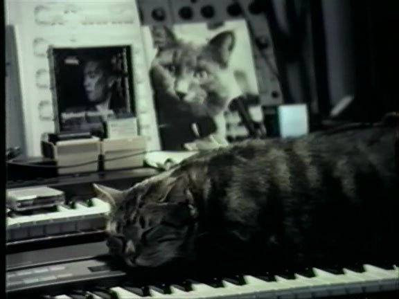 accountablepic's tweet photo. https://t.co/rLayP4AmWi
Cat listening to music by legendary Chris Marker #film #Filmmaking #cats https://t.co/dg3zgnthdx