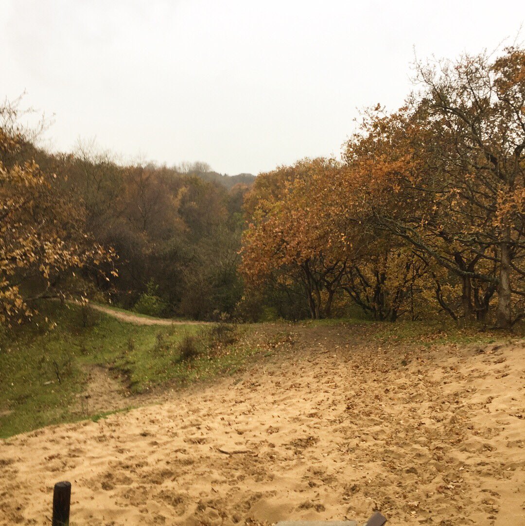 ingridkoopman's tweet photo. Tip: wandelen, eten en shoppen op landgoed Duin&amp;Bosch #Castricum. Nu opengesteld #herontwikkeling #Dijk&amp;Duin. Bijzondere plek! https://t.co/NfCjF9J5V8