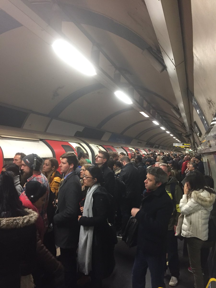 MT_James's tweet photo. @northernline chaos at Camden Station High Barnet Branch! https://t.co/bfIGBx9K2p