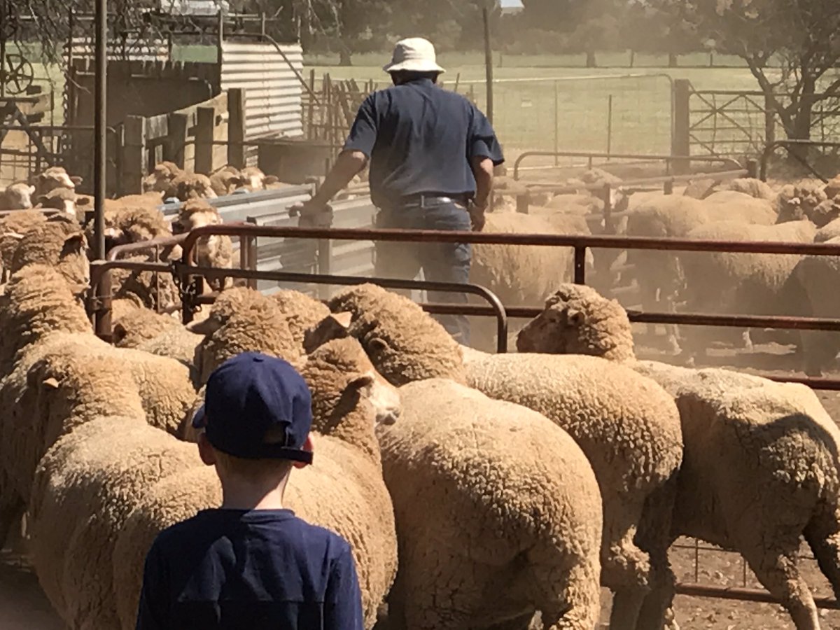 barrett_bl's tweet photo. Every Australian needs a Farmer. Why? One Australian farmer feeds 150 Australians and another 450 people overseas each year. Today is national #AgDay, a time to thank the 85,681 Australian Ag businesses that make it all possible. https://t.co/ZFa1YtmE5D