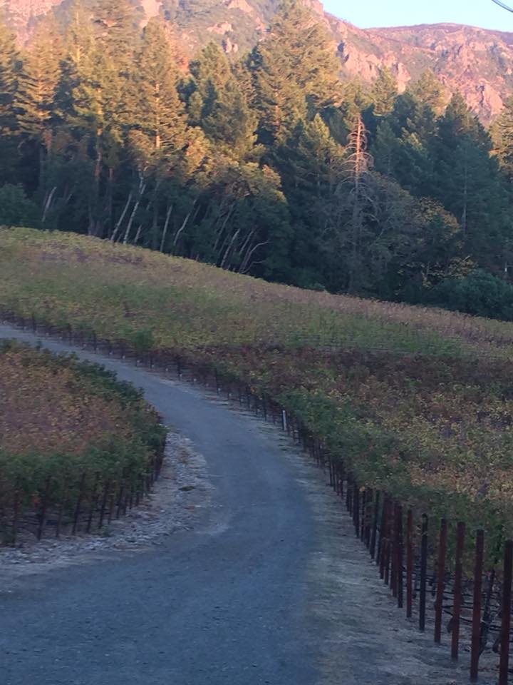 Melka Estates tweet media