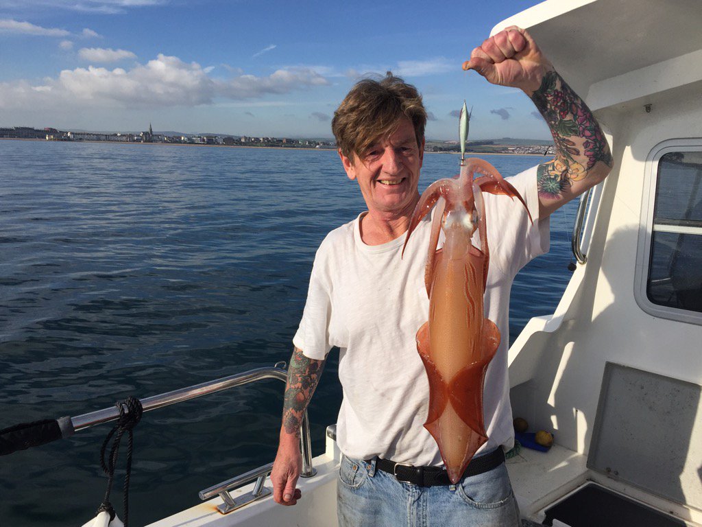 Dorset squid season is going gang busters #dorsethour  #squid #potluck #jurassiccoast #Weymouth #seafood