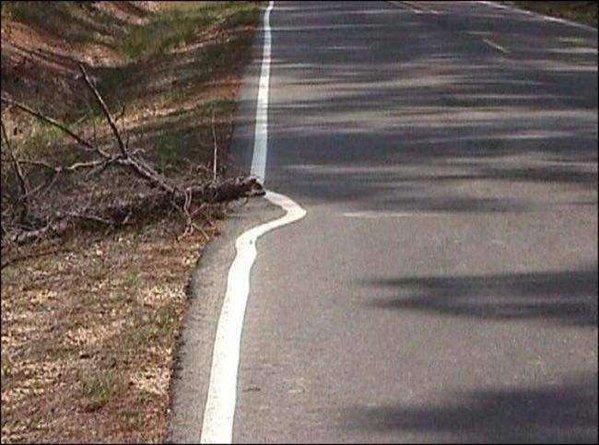 Alextrxm's tweet photo. "à quel niveau de flemme tu te situes ?"
moi: https://t.co/7HvFIOXg5w