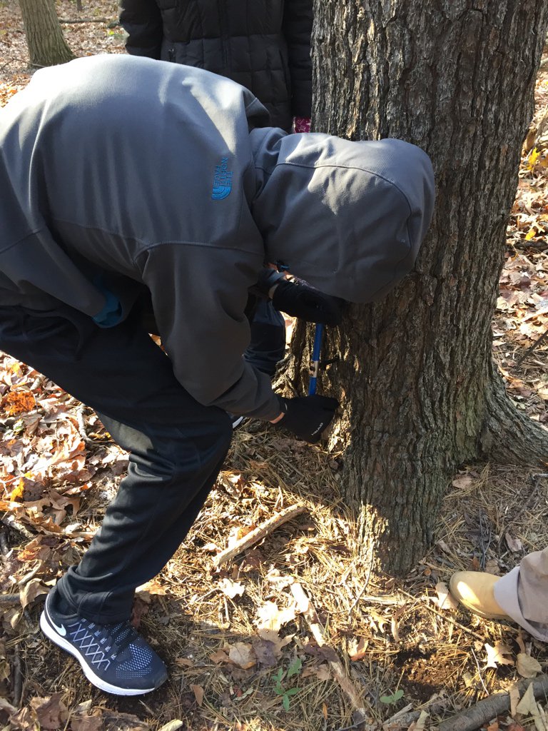 MaxUrban_EES28's tweet photo. Boring for tree rings at the Experimental Forest! #EES152 https://t.co/xBDlnncgep