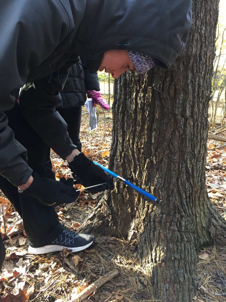 MaxUrban_EES28's tweet photo. Boring for tree rings at the Experimental Forest! #EES152 https://t.co/xBDlnncgep