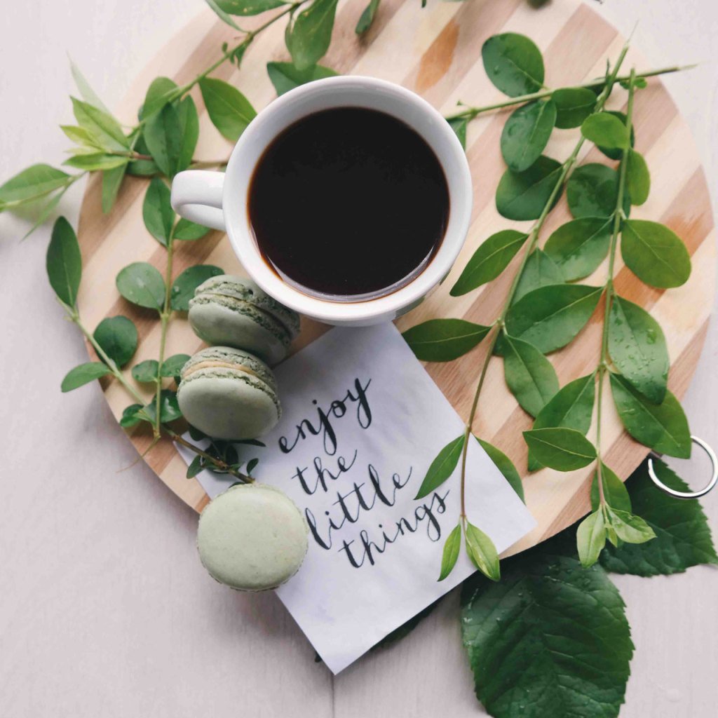 HighbornAlchemy's tweet image. The Lesson of Gratitude highbornalchemy.com/gratitude-less…