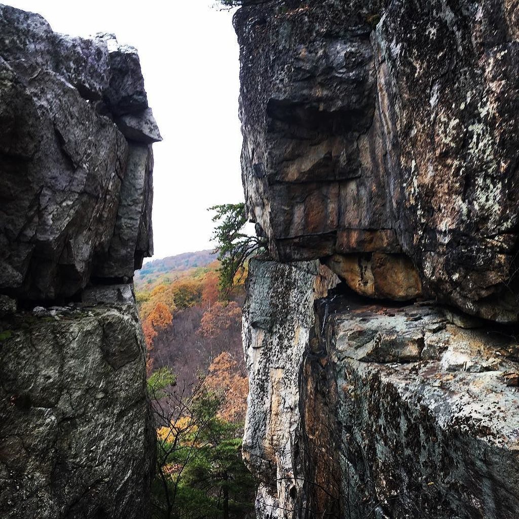 mohonkpreserve's tweet photo. A beautiful view through the cliffs. 📷: Preserve Land and Boundary Steward @edpestone .
.
.
#mohonkpreserve #view #autumn #seekforyourself #iloveny #visitvortex #optoutside #cliffs https://t.co/RVhfHwdatp https://t.co/TN8IZtXzEq