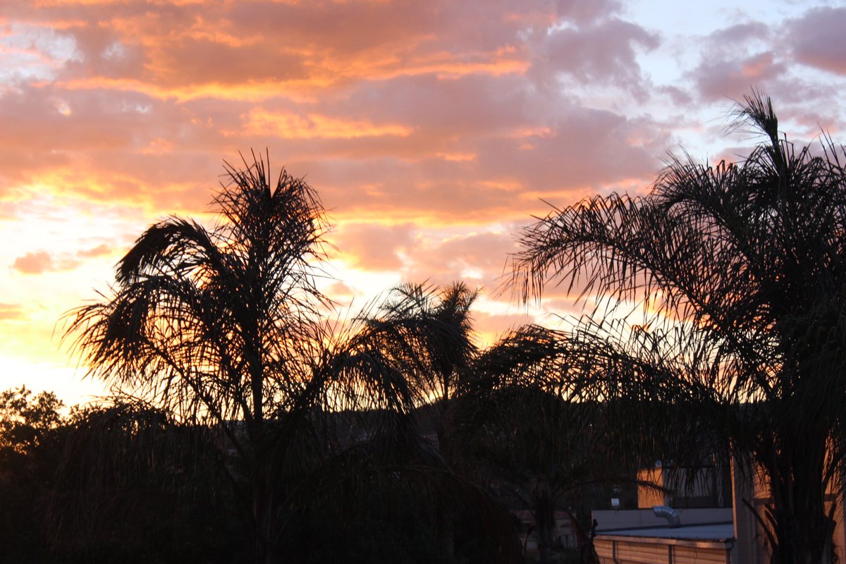 BenatarDelroy's tweet photo. #sunsets ❤️ https://t.co/xsI28Xlxw6