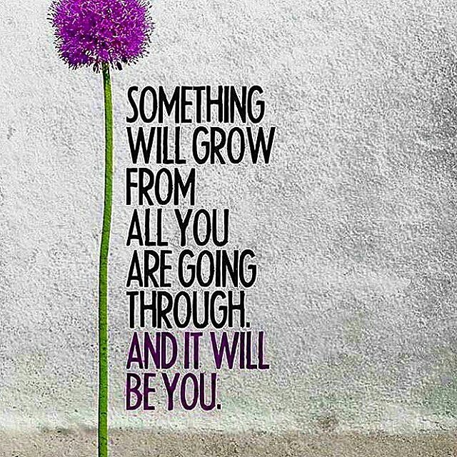 We offer a New Beginning from #SexAddiction   Register for the Next Boot Camp Dec.  11 - 22.  Limited to up to 6 Men.   BlueTigerRecovery.com