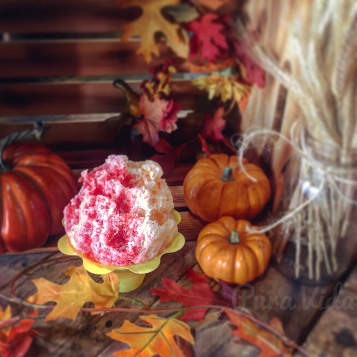 PuraVidaIce's tweet photo. RT for a free shaved ice today or tomorrow. New PV hours 2-8 drive-thru only! #shavedice #puravidaice https://t.co/3kJ3OgijT8