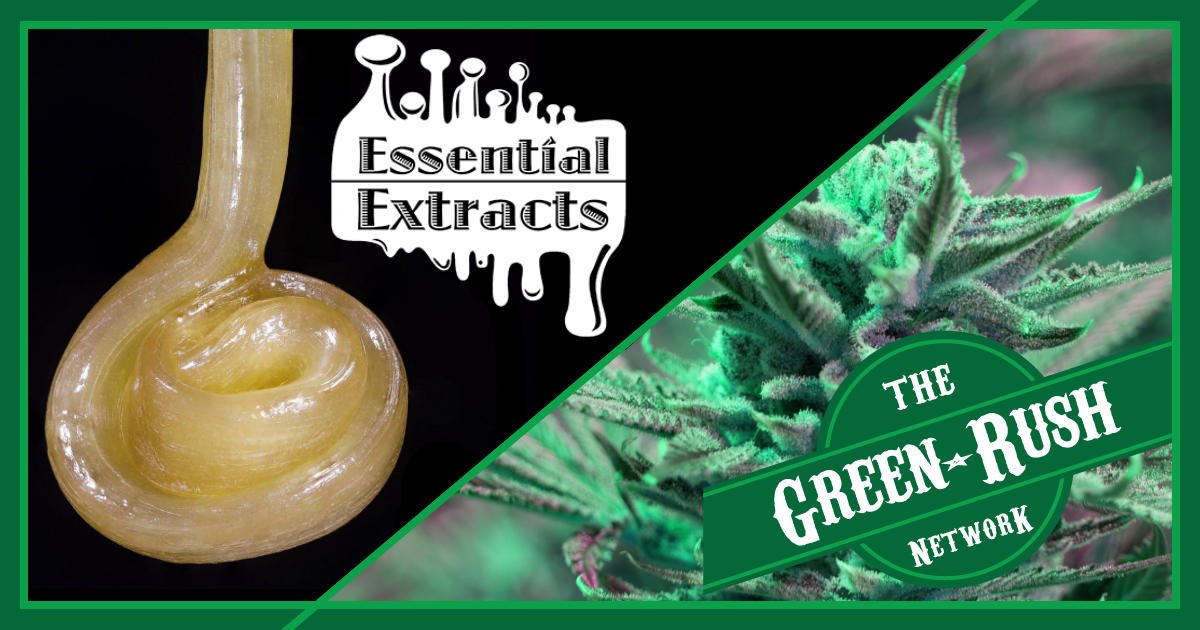 greenrushnetwor's tweet photo. Let Essential Extracts' solvent-less extracts get you on the right level this holiday week. 🌞
#extracts #solventless #solventlessextracts #marijuana #cannabis #mmj #cannabiscommunity #hightimes #highlife https://t.co/EsGV2rtitY
