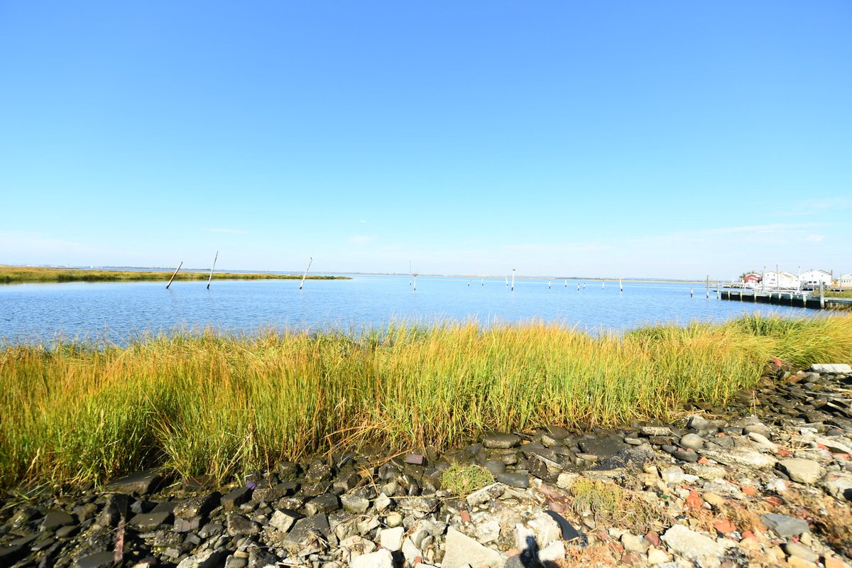 City of New York tweet media