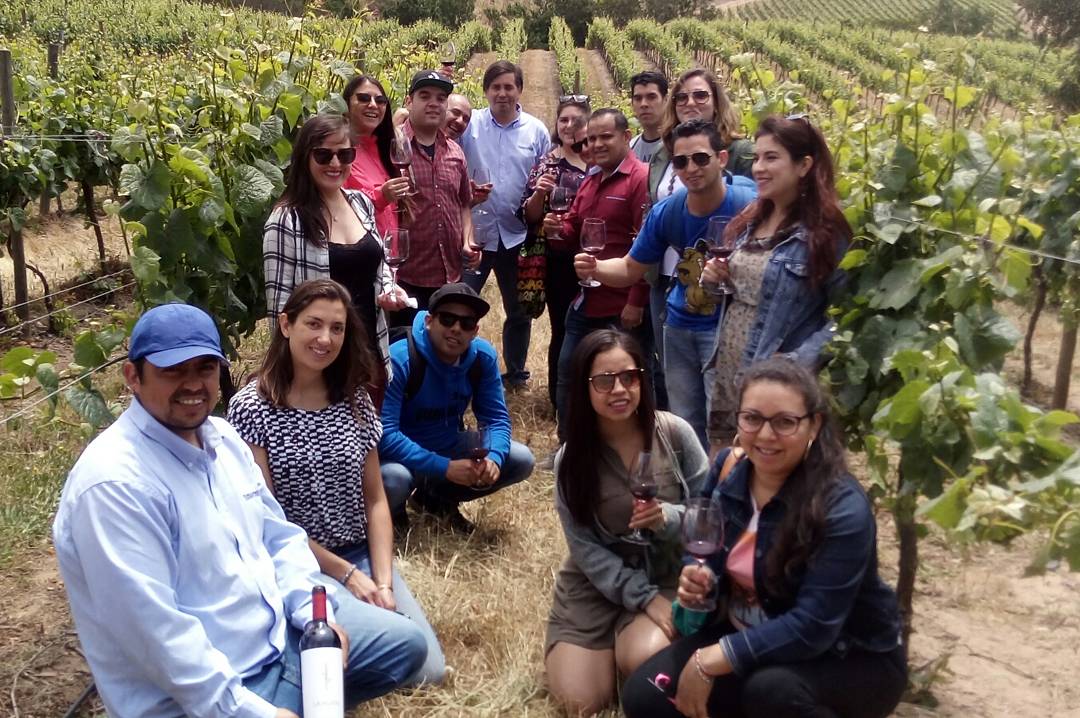 reinaldolivares's tweet photo. En #Viñedos @terranoblewines #Casablanca #Restaurant #Siciliano #AzulProfundo #SaboyAroma #Hanzo #MercadoPatache #Rubaiyat #Carnal #Premiumbrands #WineOfChile #Maule #Colchagua #Wine #Vino @marcelogarciade ¡Seguimos educando! ¡cariño por el servicio! 100% #Hospitalidad  🍇🍷🍴💞 https://t.co/k65Oai4bXG
