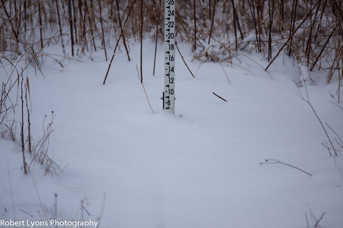 after today's very fluffy snowfall, we have almost 7" on the ground here in Walden VT <a href="/TylerJankoski/">Tyler Jankoski NBC5 📺</a> @CaitlinMyNBC5 <a href="/MichaelPageWx/">Michael Page</a> <a href="/VermontTourism/">Vermont Tourism</a> @TimNBCBoston <a href="/wcax/">Channel 3 News</a> <a href="/SeanMParker/">Sean Parker</a> <a href="/JimCantore/">Jim Cantore</a> <a href="/ericfisher/">Eric Fisher</a> @THISISVT