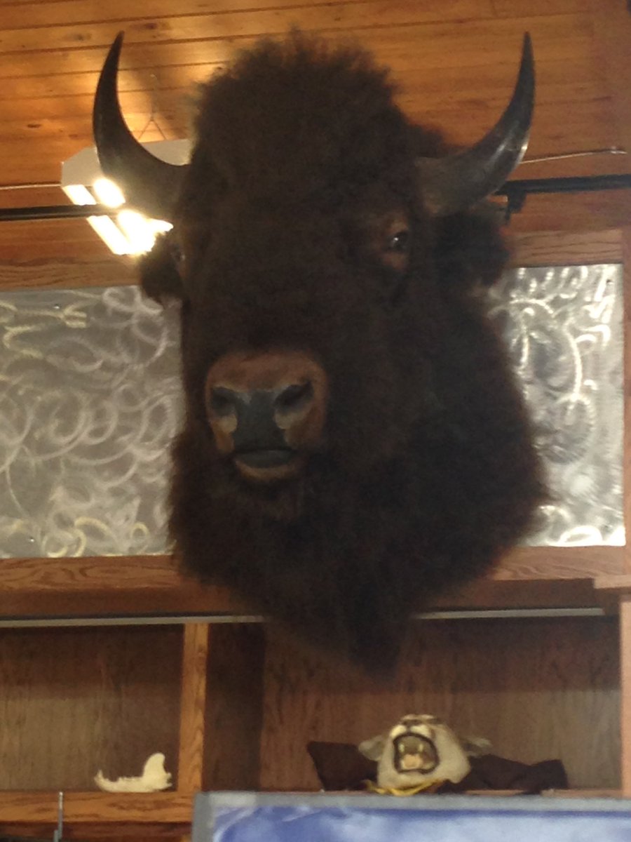 Look what I found at the pawn shop!