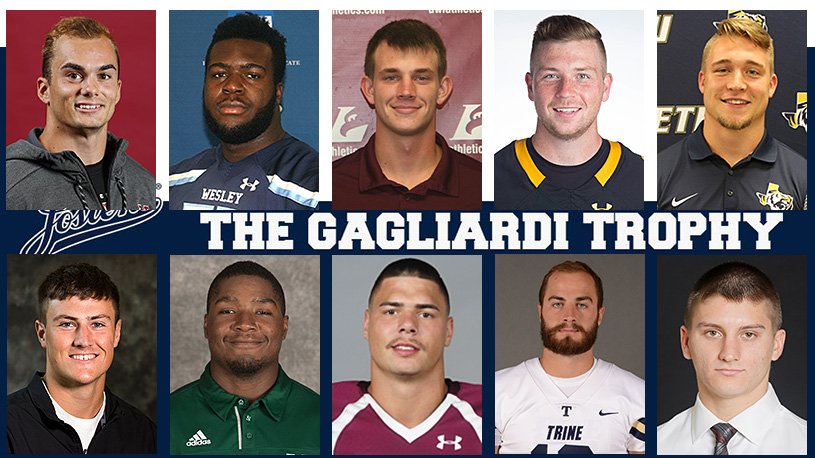 Here are your 2017 Gagliardi Trophy semifinalists, and the fan balloting is open! Vote now! d3football.com/notables/2017/… #d3fb