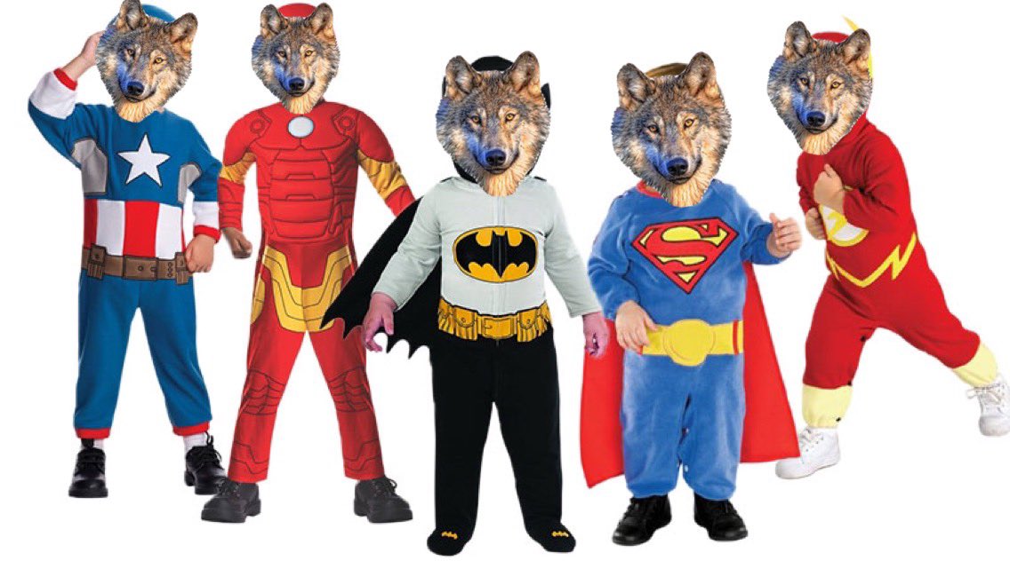 wmupresidents's tweet photo. 🏀VARSITY/JV GIRLS HOME BASKETBALL GAME TOMORROW! JV starts at 6! Student Section: SUPER HERO!
#comesupport #wmucsd #wmustudentsection https://t.co/WSjJFUp5Kx