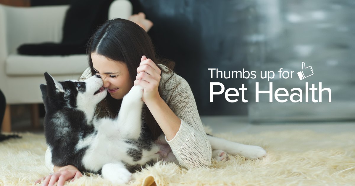 Help us help pets! This week, we're donating $1* to <a href="/ACTSSalberta/">ACTSS</a> (
Animal Cancer Therapy Subsidization Society) for every new Twitter follower we get! Help us spread the word! Tell a friend! Share this post! #petcancerawarenessmonth #share #rt

*(To a maximum of $1,000)