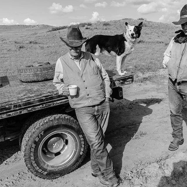 visitsemontana's tweet photo. Wally McRae, a true SEMT legend. 📷: alexis_bonogofsky .
.
.
#VisitSEMT #southeastmontana #lastbestplace #mysemt #onlyinsemt #ranchers #cowboys #406 https://t.co/jWnRBB7h9p