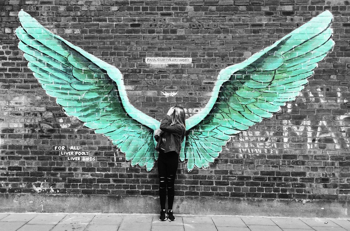 ElyO2L's tweet photo. these wings were made to fly ✨ https://t.co/qBo2hmtb88