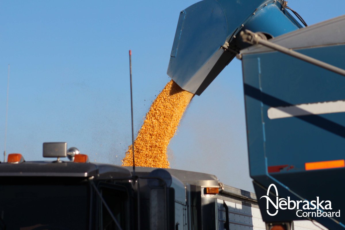 Almost there! 93% of #Nebraska #corn is harvested according to the latest USDA Crop Progress report! #harvest17 #harvest2017