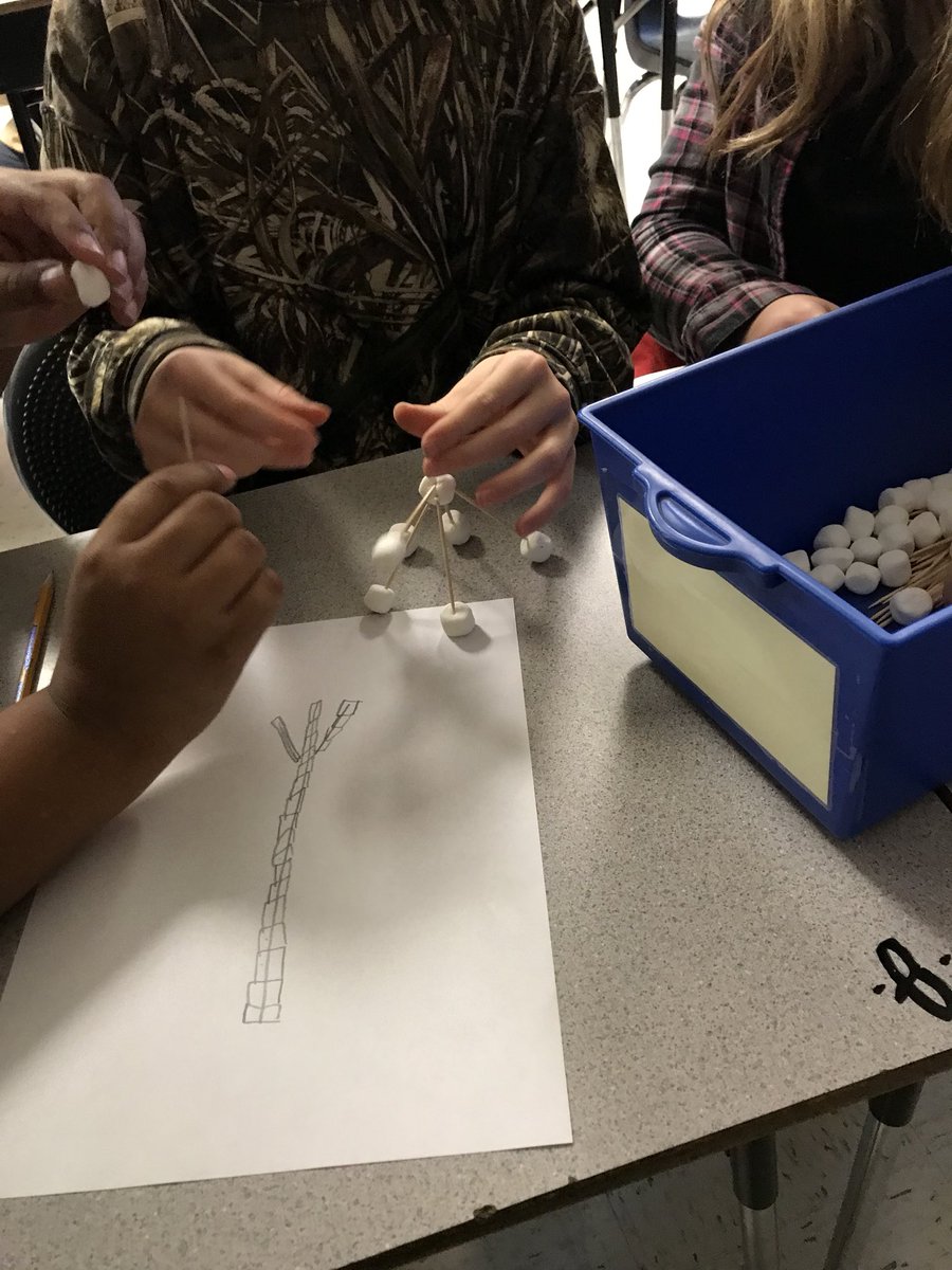 Michelle Nelson tweet media