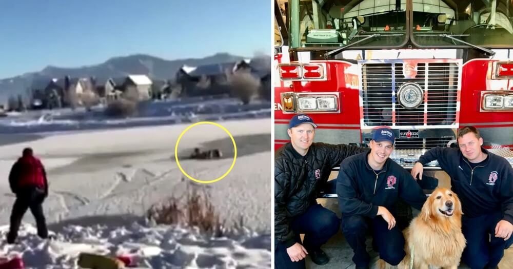 lifestylebywj's tweet photo. Firefighters Rescue Fireman Who Fell into Icy Pond While Trying to Rescue Trapped Dog
https://t.co/U2imezzlkp
As it’s a very dangerous mission, fire fighters won’t always go through with such a task.
#liftable #rescue #heroes #dogsoftwitter #doglovers https://t.co/s7QPFDaD7a