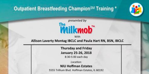 BFChgo's tweet photo. Attention RNs, doctors, IBCLCs, CLCs, doulas, midwives, peer counselors & more: Registration for @TheMilkMob's Outpatient #Breastfeeding Champion Training is now open! Jan 25-26 in Hoffman Estates! https://t.co/YOdsvsXEwH #birthpros https://t.co/xo6cga1z62
