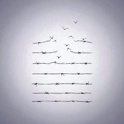 sarakaysen_'s tweet photo. #AnimalLiberation🔓🐾
#UntilEveryCageIsEmpty
....because “The idea that some lives matter less is the root of all that is wrong with the world”
#AnimalRights #Free269 https://t.co/wn2hf2vqX1