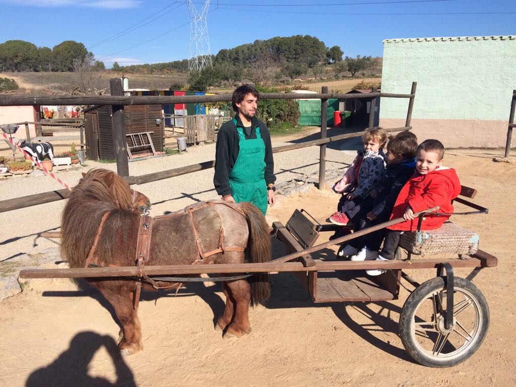 SalesiansHorta's tweet photo. Sortida de #P3 a Can Pidelaserra a fer activitats de tardor i de granja!!! 🐔🐰🐐 https://t.co/qmV0KbQIXI
