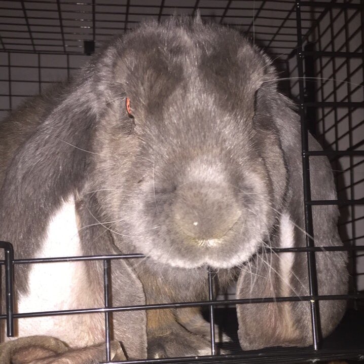 FFAgirl2016's tweet image. #NewProfilePic