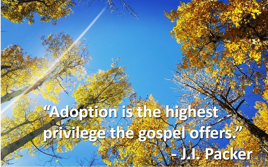 CAS_Adoptions's tweet photo. Monday Motivation! #NationalAdoptionAwarenessMonth https://t.co/8IoFjoulyk