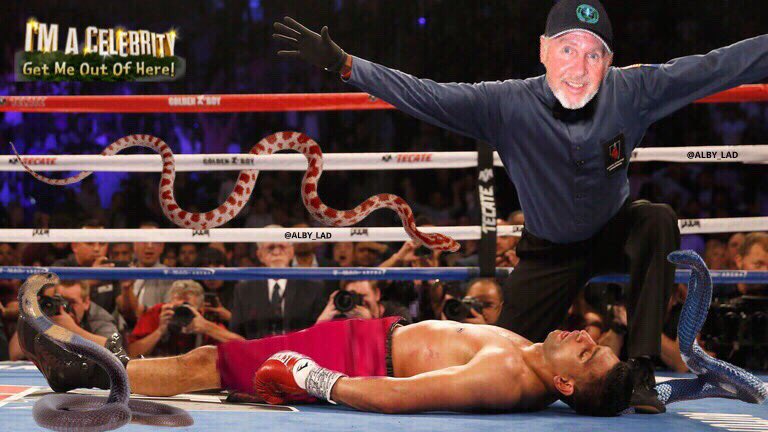ALBY_LAD's tweet photo. I’M A CELEBRITY GET ME OUT OF HERE!! SNAKES KO’d AMIR IN THE 3rd #ImACeleb #AmirKhan https://t.co/8e1iHYJXtK